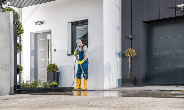 Best Paint Preparation  in Llender, CA